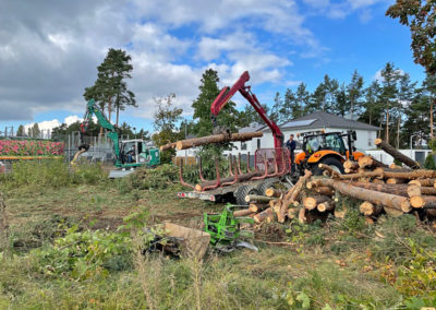 Rodungen/Baufeldrodung